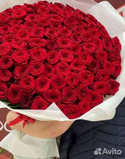 Розы Букеты Цветы Розы 31 101 151 201 Доставка