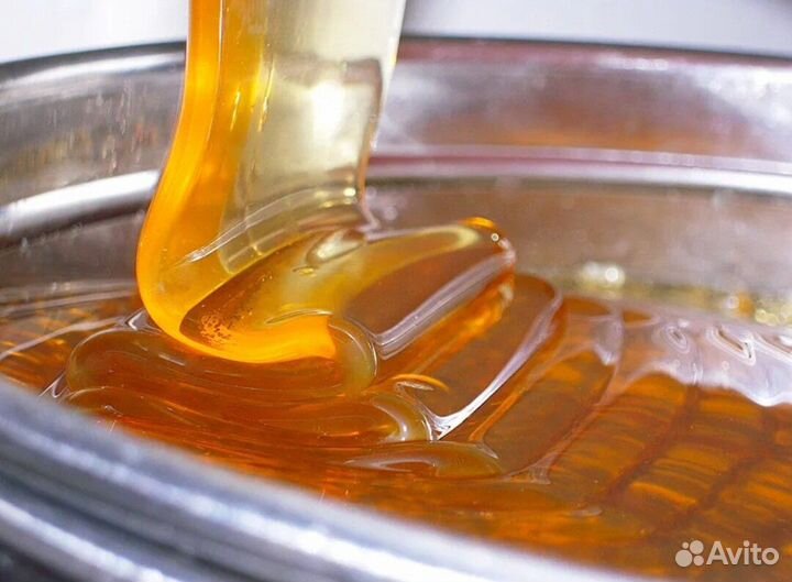 Мед Лесной опт