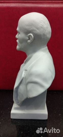 Бюст 