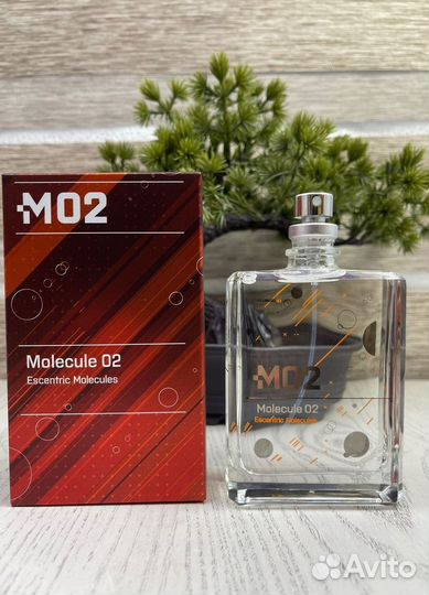 Molecule Escentric M 02