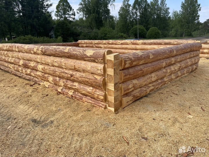 Сруб бани 6х6