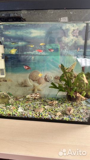 Аквариум