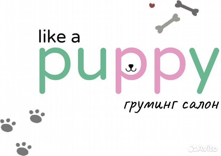 Груминг для собак спб