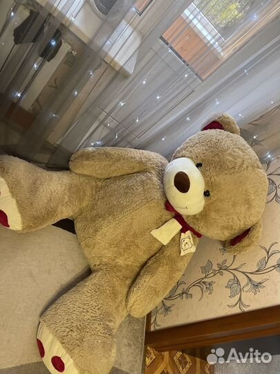 Плюшевый медведь больше 2 метров