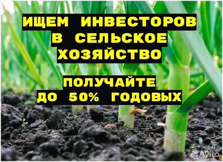 Готовый бизнес с пассивным доходом