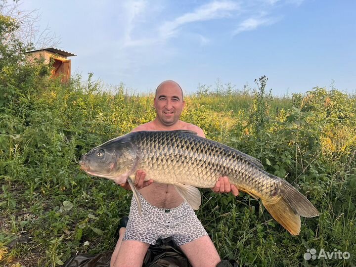 Рыбалка карп