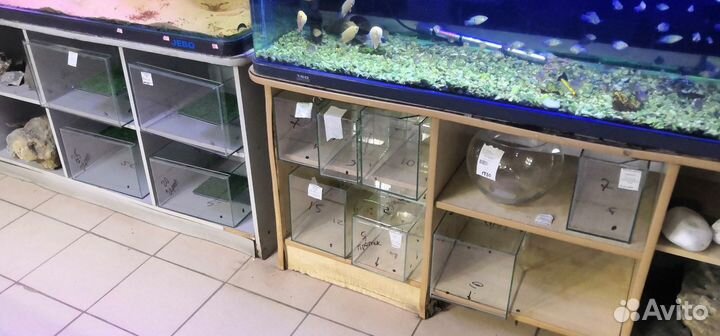 Аквариумы в ассортименте в акватропике