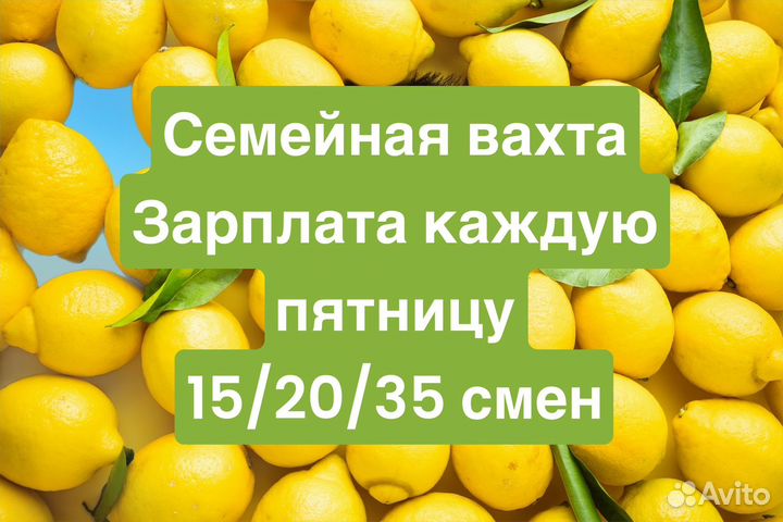 Упаковщик-ца 15/25/35 смен честная вахта Москва