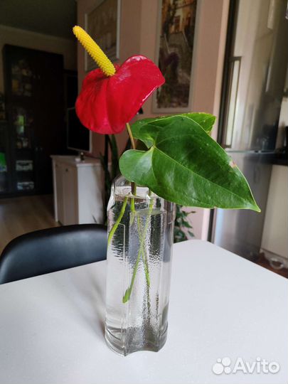 Стеклянная бутылка 1 л