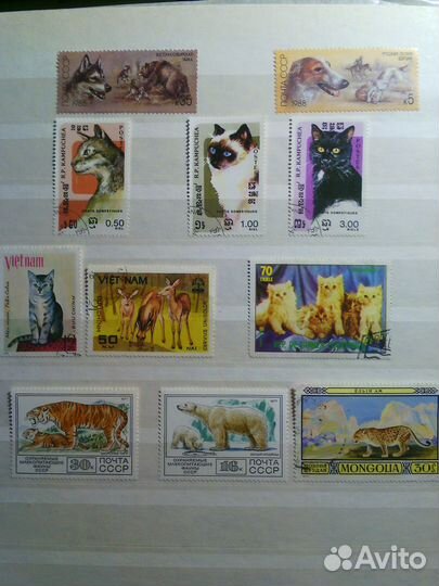 Почтовые марки СССР и иностранные