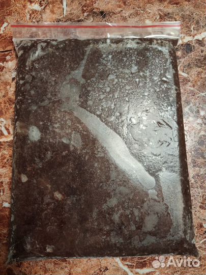 Артемия, Стрептоцефал, Мотыль, Дафния (заморозка)