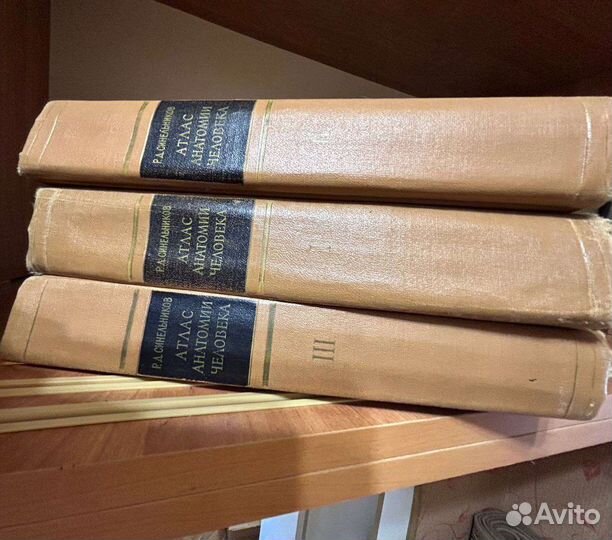 Атлас анатомии человека синельников