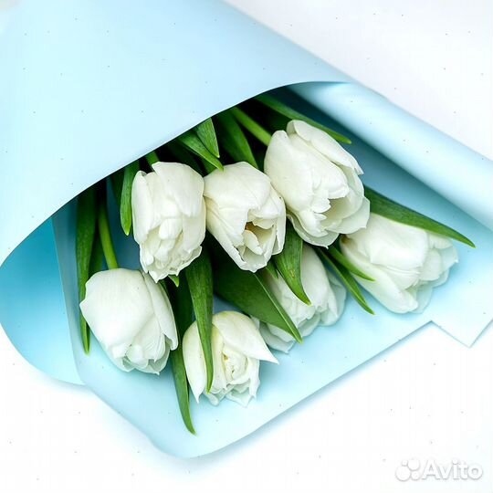 Букеты желтых Тюльпанов оптом 10 по 7