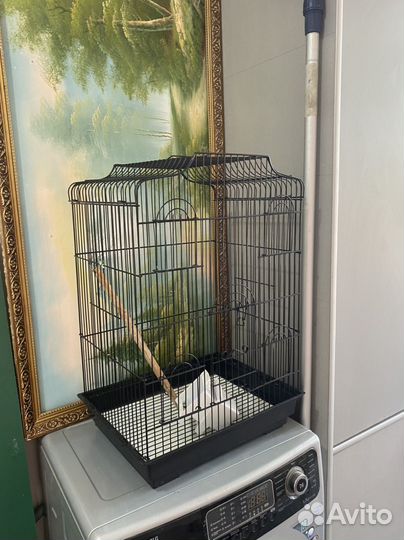 Клетка для попугая