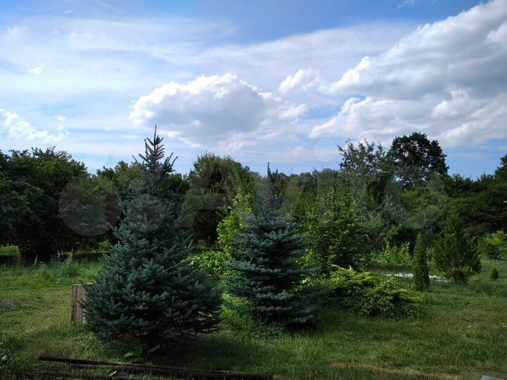 Участок 43 сот. (ИЖС)