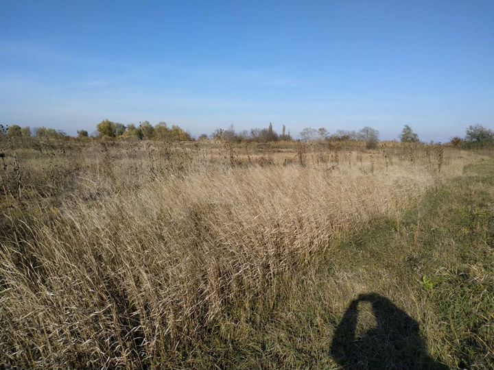 Участок 25 сот. (ИЖС)