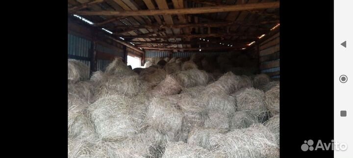 Продам сено в мини рулонах