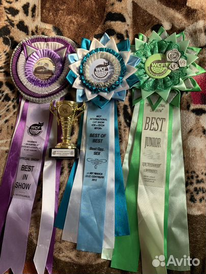 Предметы декора для интерьера