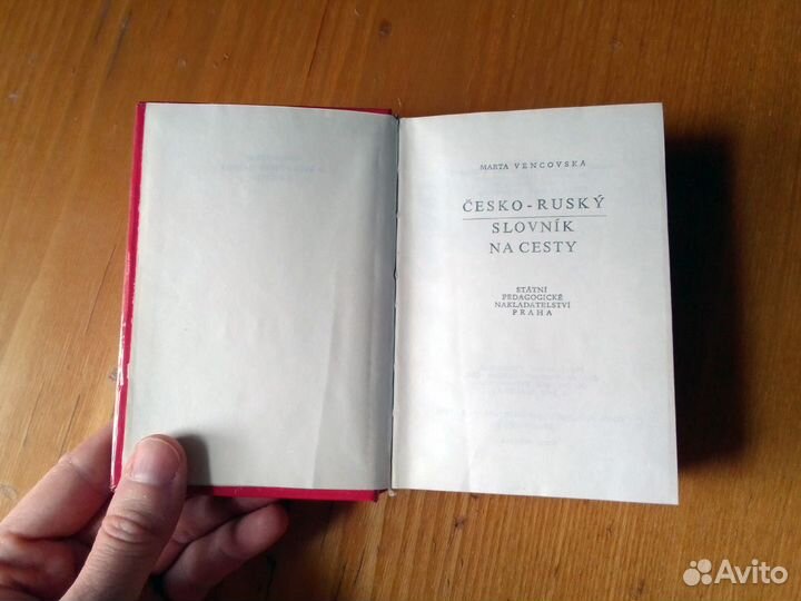 Русско-Чешский Чешско-Русский словарь