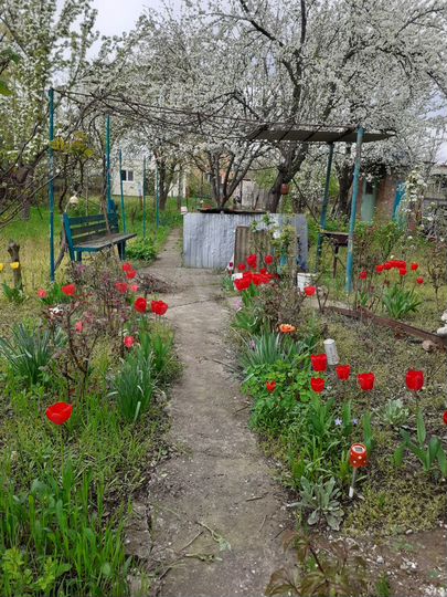 Дача 35 м² на участке 4 сот.