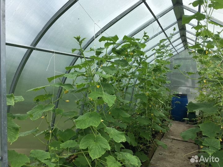 Каркас теплицы «Горка»