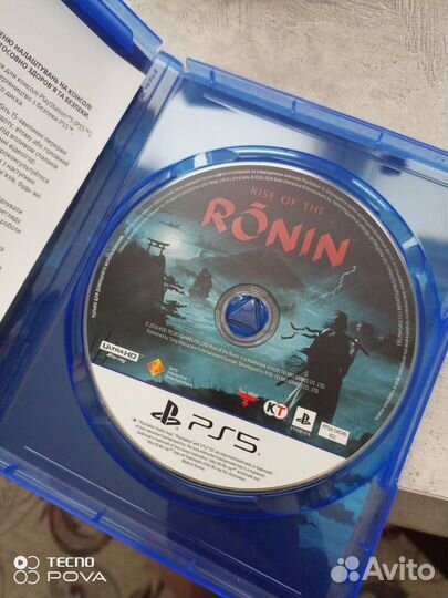 Rise of the Ronin