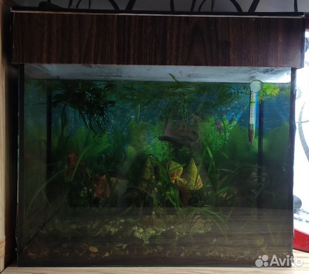 Аквариум