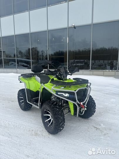 Rato Bully 200 Premium LD