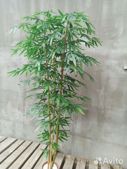 Бамбук. Искусственное дерево