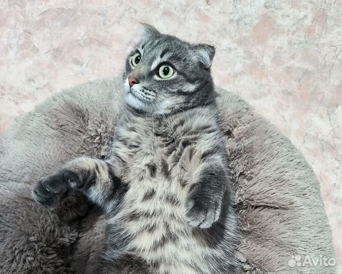 Лежанка для собак и кошек