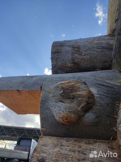 Срубы домов и бань из сосны Кело