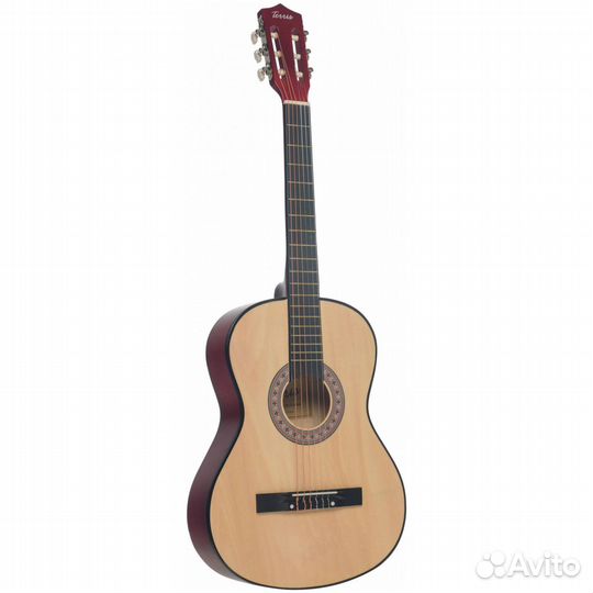 Классическая гитара Terris TC-3801A NA