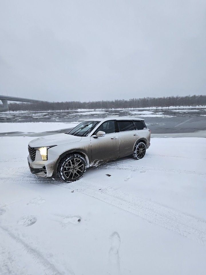 GAC GS8: фото владельца