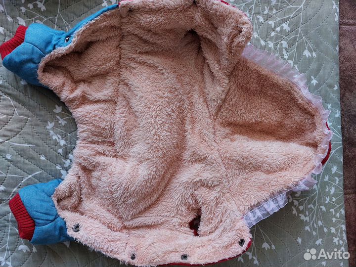 Одежда для маленьких собак зима