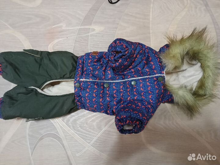 Костюм для собаки зимний