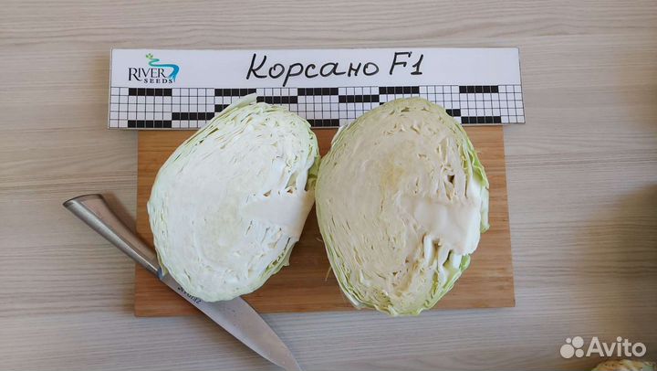 Семена капусты