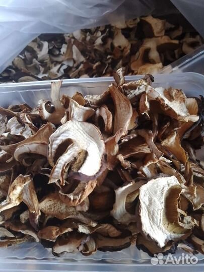 Продам сухие лисички