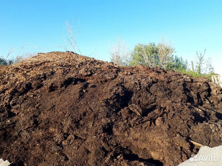 Перегной, самовывоз