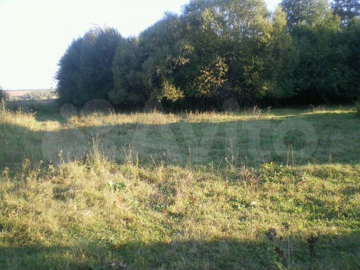 Участок 42 сот. (ИЖС)