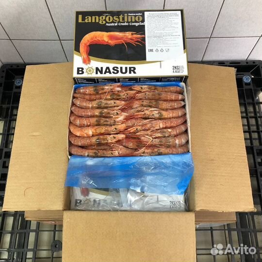 Креветка Аргентинская сырая с головой