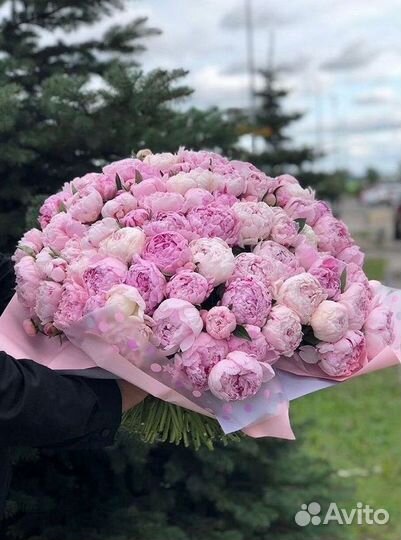 Пионы Букет пионов