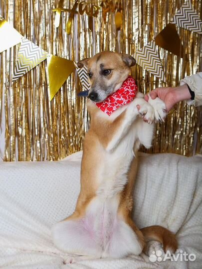 Шейла заслуживает расти в семье