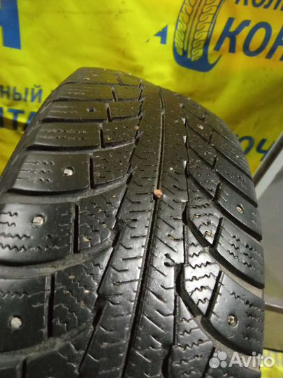 Gislaved Nord Frost 5 175/70 R13