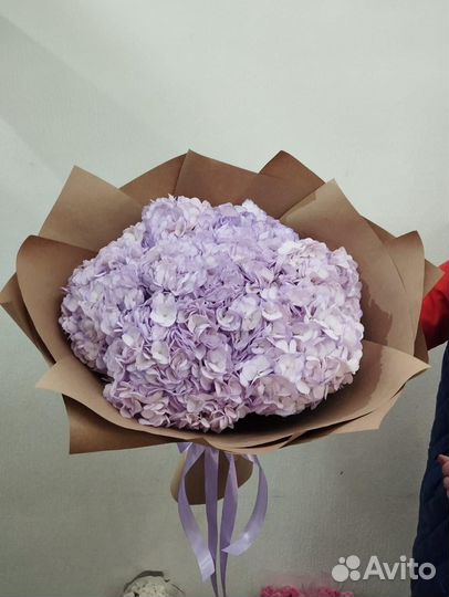 Цветы Букеты Шары Доставка Волжский Волгоград