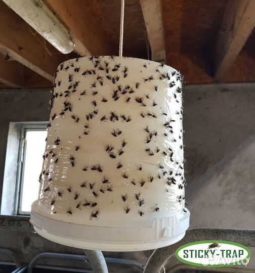 Ловушка для мух, оводов, слепней, других насекомых