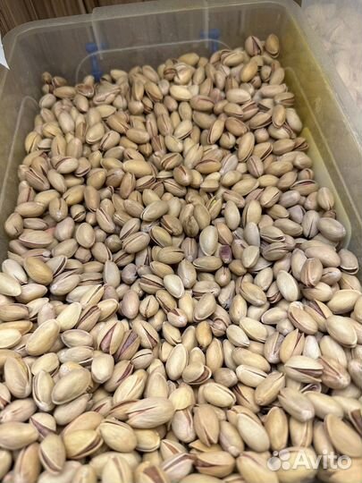 Кедровый орех очищение свежый урожай 2022 года