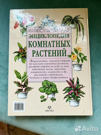 Энциклопедия комнатных растений