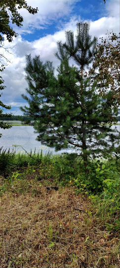 Дом 89 м² на участке 13 сот.