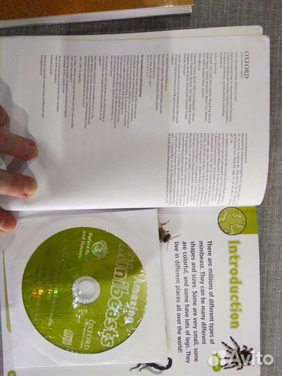 Учебное пособие для детей по изучению англ. языка