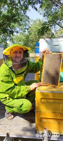 Мёд 2023 года со своей пасеки